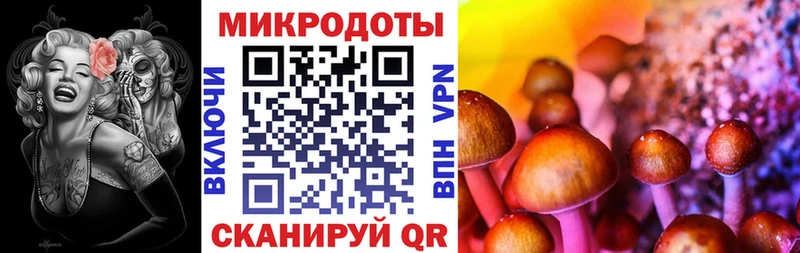 Псилоцибиновые грибы ЛСД  Купить где  Среднеколымск 